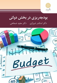 بودجه ريزي در بخش دولتي